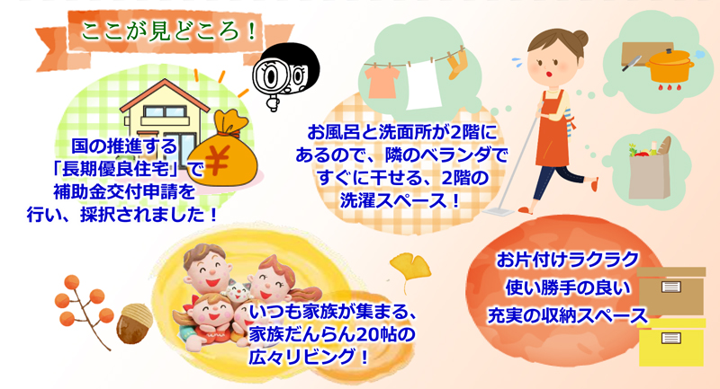 見どころポイント